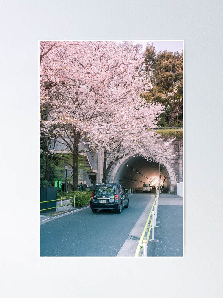 Alternate view of Sakura petals falling Poster
