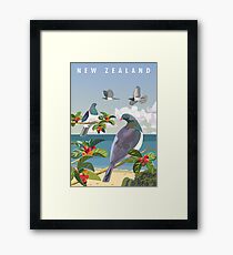 Lámina enmarcada Kereru, Nueva Zelanda