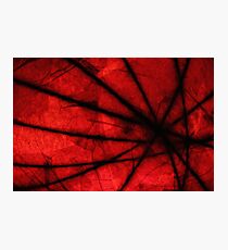Intersect Photographic Print