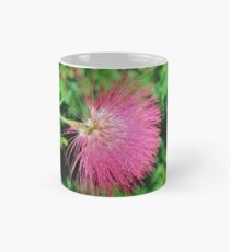 Taza Hawaiian Ohia