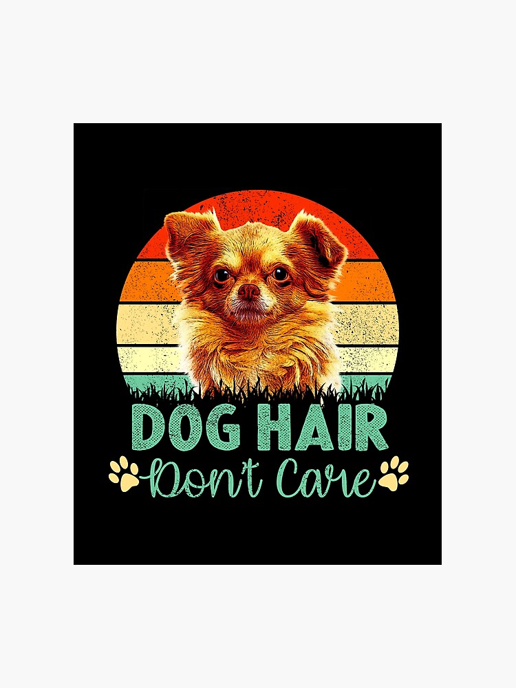 Dog Hair Don T Care Chihuahua Dog Design Photographic Print By