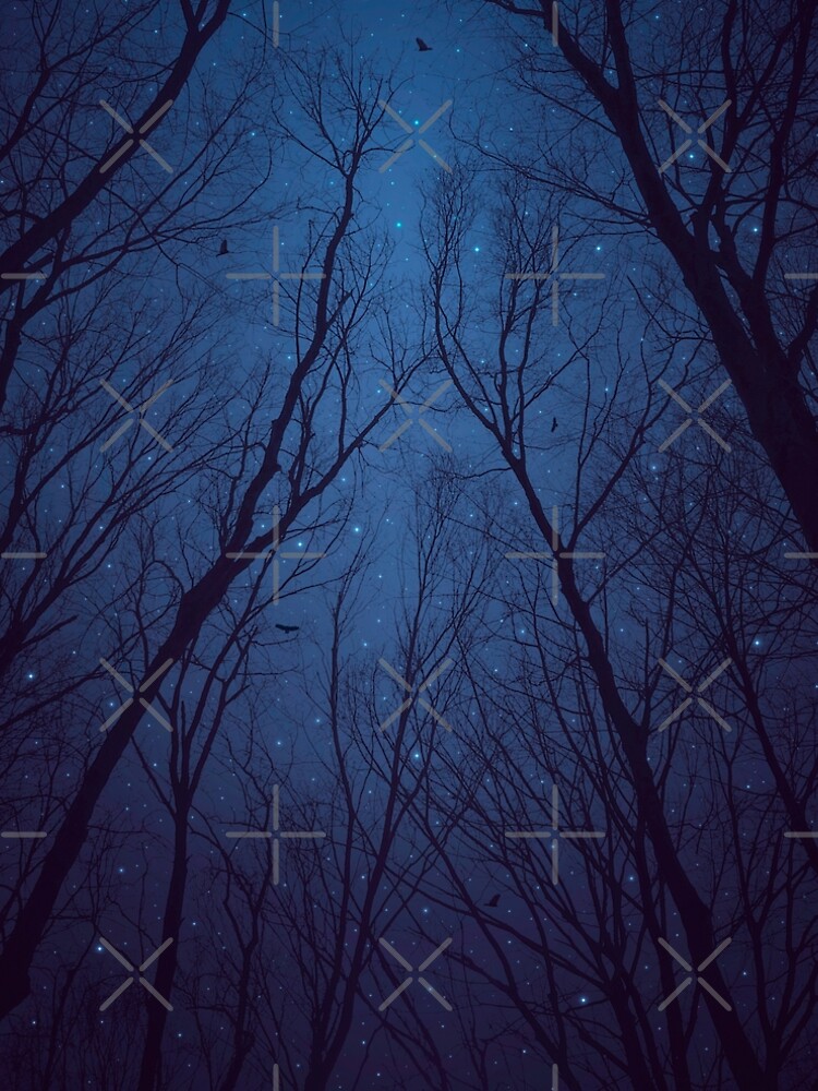 I Have Loved the Stars too Fondly by soaringanchor