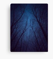 I Have Loved the Stars too Fondly Canvas Print