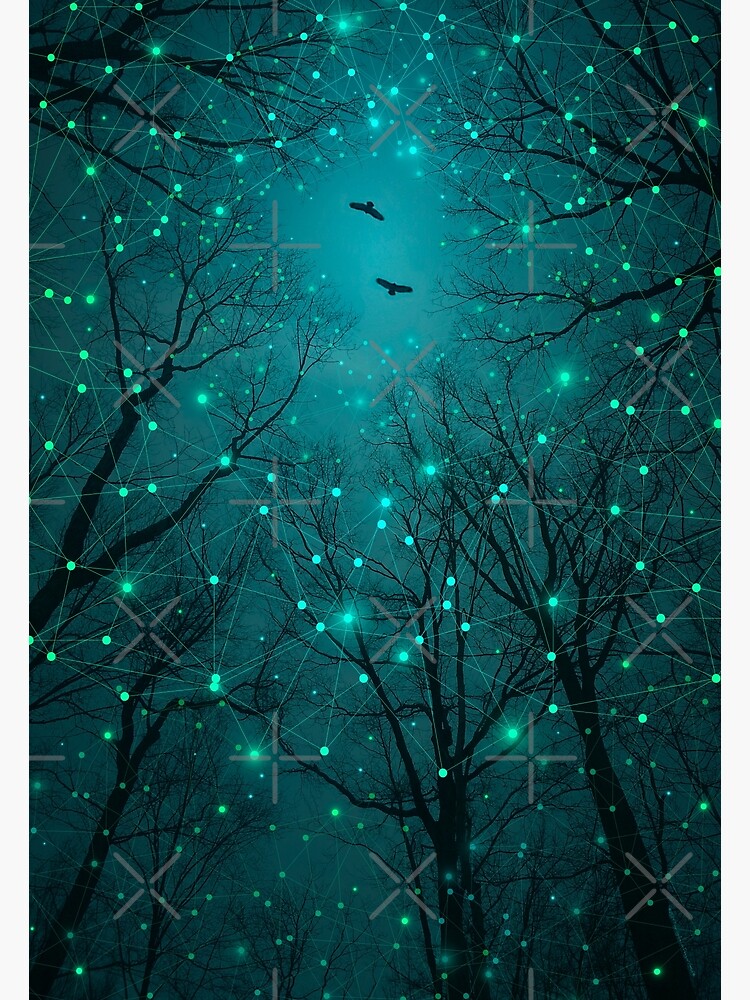 Silently, One by One, the Stars Blossomed by soaringanchor