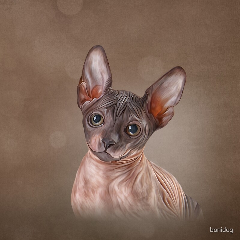 "Drawing Sphynx kitten" by bonidog Redbubble