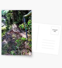 rundown Postcards
