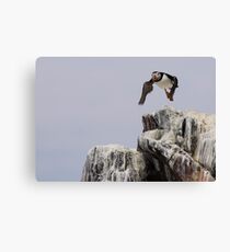 Take Off Canvas Print
