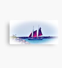 The Spirit Canvas Print
