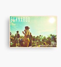 Bonnaroo 2010 Canvas Print