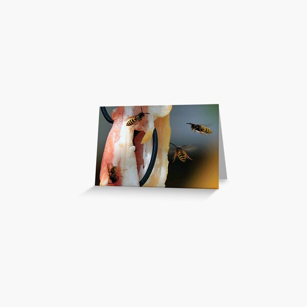 Flying Wasp 0002 Greeting Card