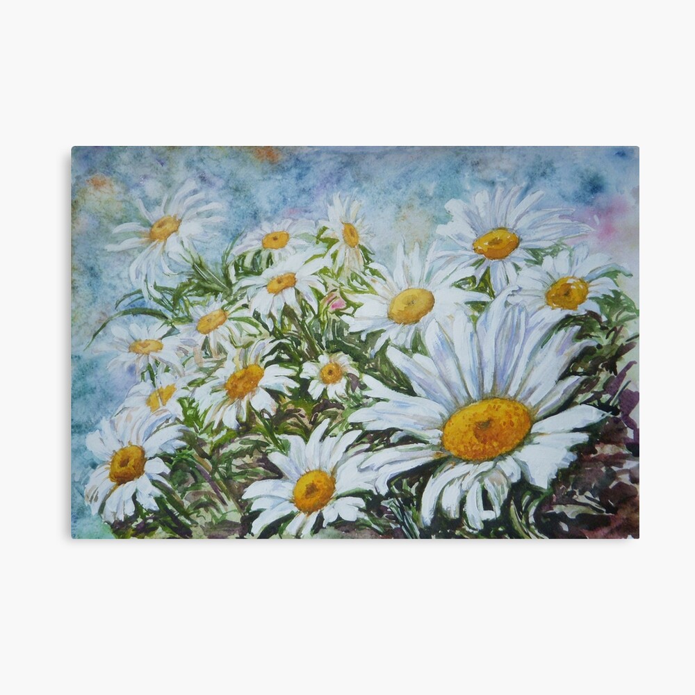 Camomiles Canvas Print