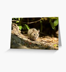 wood mouse Greeting Card