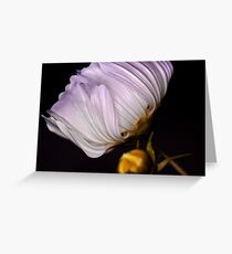 June Greeting Card