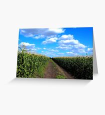 Cornfield Lane Greeting Card