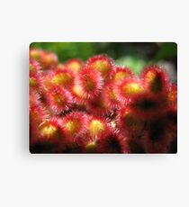 Firesale Flowers Canvas Print