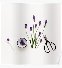 Lavender Poster