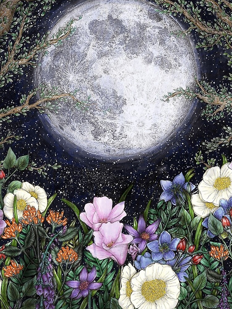Midnight in the Garden II by ECMazur