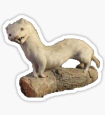 Bad Taxidermy Ferret Sticker