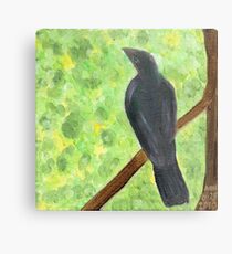 Survey Metal Print