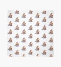 Pañuelo Cosy Sloth