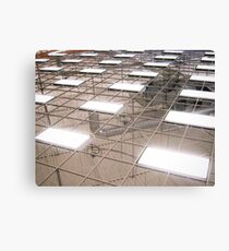 step lightly Canvas Print