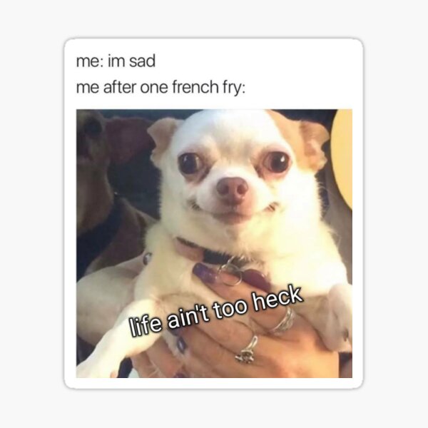 Chihuahua Meme Face Crying - Cenfesse