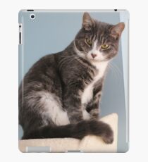 What 'mew Lookin' at? iPad Case/Skin