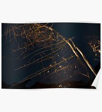 Flowing Poster