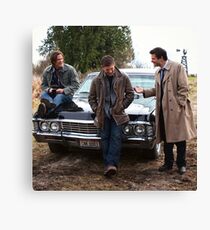 Team Free Will Canvas Print