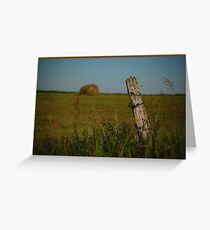 Hay Day! Greeting Card