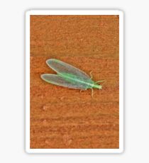 Long Green Bug Sticker