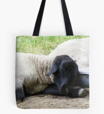sheep snoozing by Sutton Bank Tote Bag
