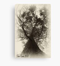 Here since Victorian times Canvas Print