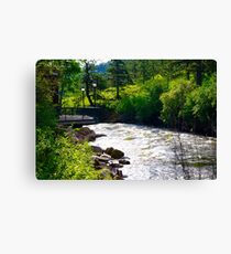 The Stream Canvas Print