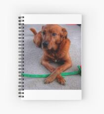 On Guard Spiral Notebook
