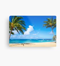 Coconut Palm tree on the beach in Hawaii, Kauai Metal Print