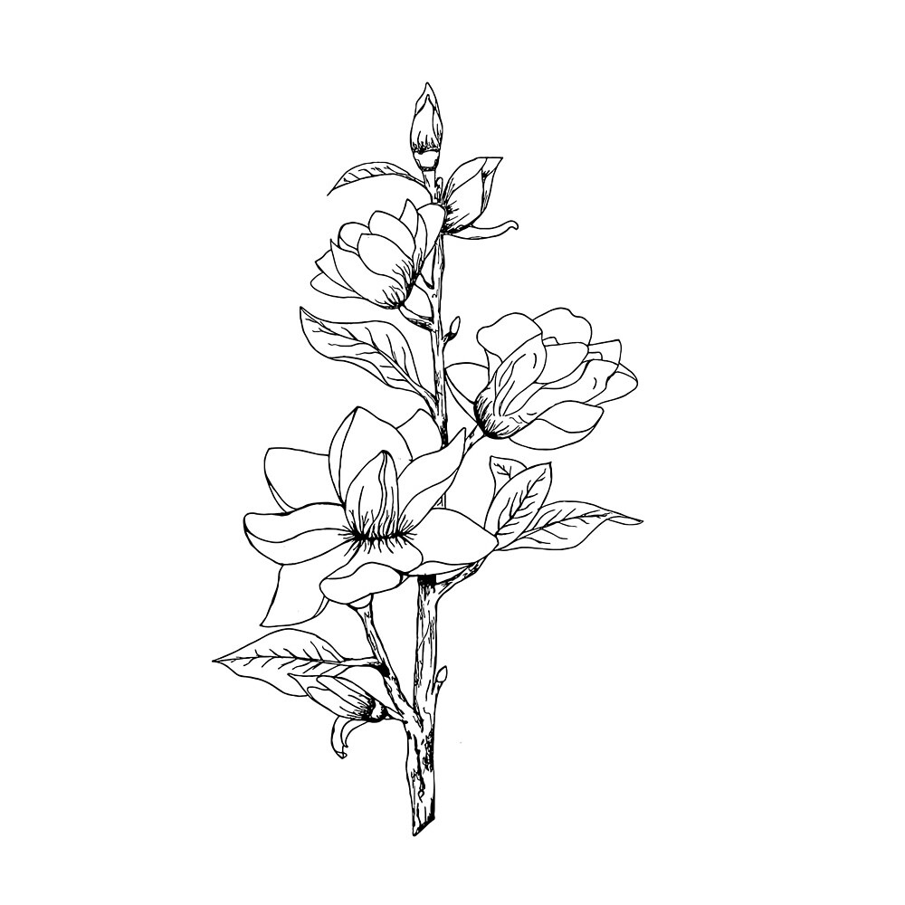 "Dainty Flowers Line Drawing" by Sophia Mack Redbubble