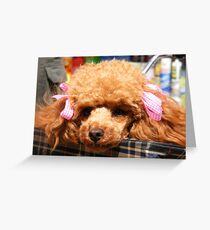 Hello............... Greeting Card