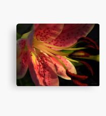 Lovely Mary Canvas Print