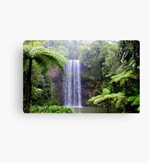 Milla Milla Falls F.N.Q Canvas Print