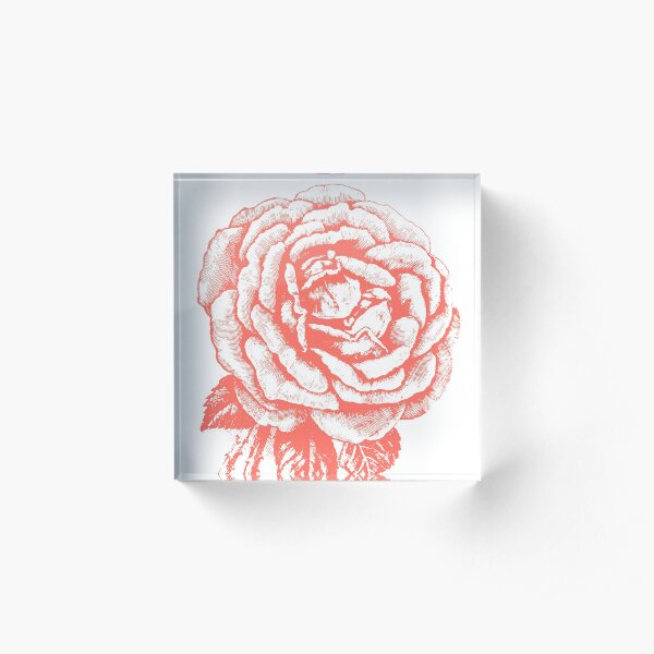 Rose drawn in vintage style in color "Living Coral" Acrylic Block