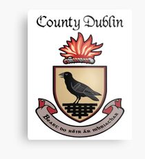 County Dublin Ancient Crest Metal Print
