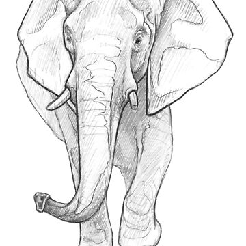 Artwork thumbnail, African Elephant - Art Illustration - Monochromatic Pencil Line Sketch - Drawing by MadliArt by MadliArt