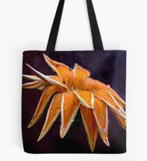 After The Rain Tote Bag