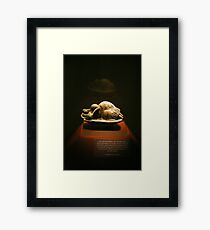 Eternal Sleep Framed Print