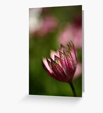 Eggleston Hall Greeting Card