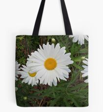 Daisies Waiting Tote Bag