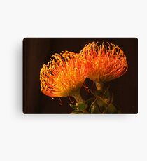 Intense Color Canvas Print