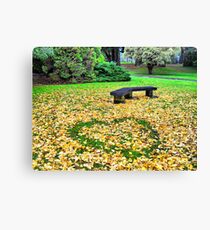 Tauranga Seat Canvas Print