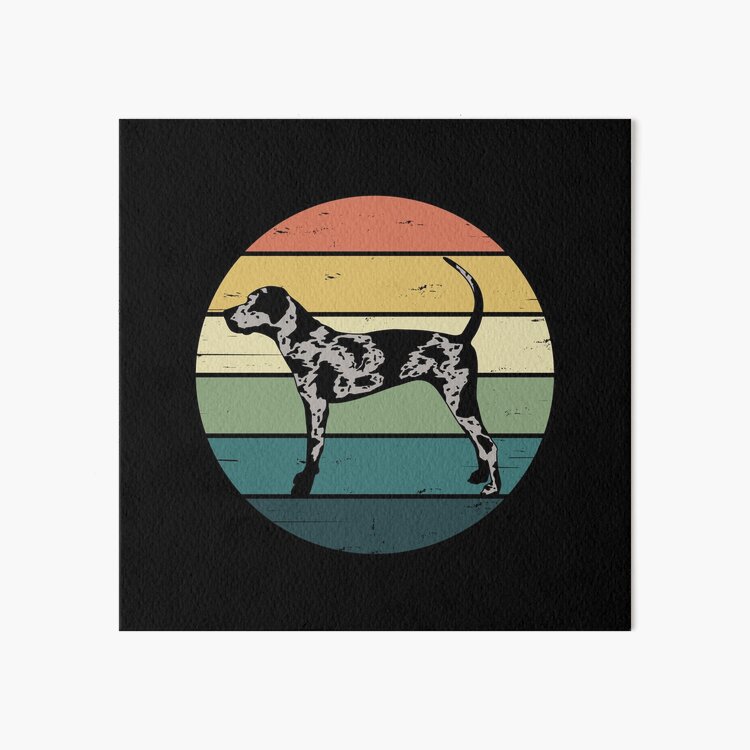 Retro Rainbow Catahoula Leopard Dog Art Board Print